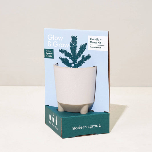 Glow & Grow Candle - Frosted Forest Spruce